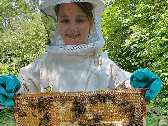 Die kleine Bienenschule in Hofheim