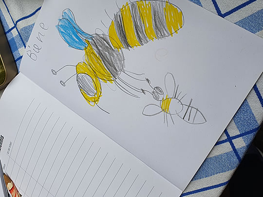 Die kleine Bienenschule in Hofheim