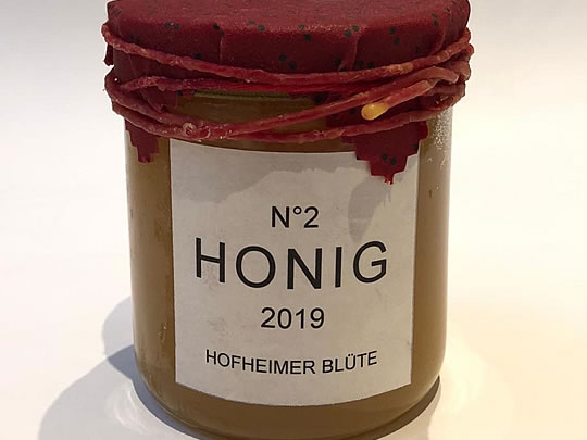 Die kleine Bienenschule in Hofheim