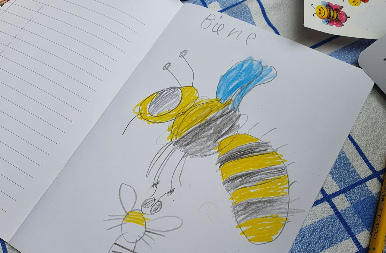 Bienenbild