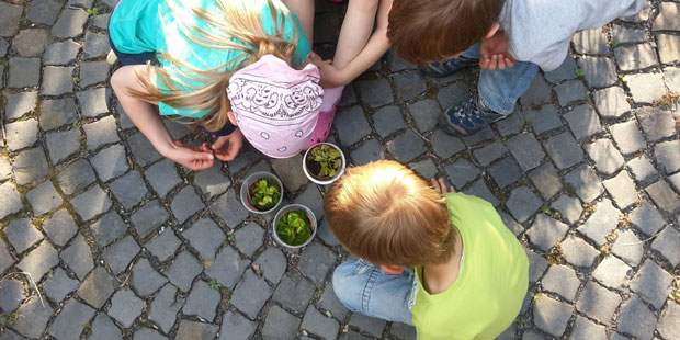 ecokids - Outdoor Ferienbetreuung im Rhein Main Gebiet